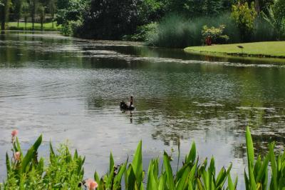 久しぶりのシンガポール ②
