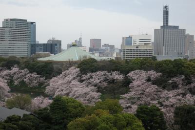 千鳥ヶ淵でお花見