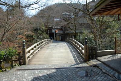 北陸の温泉とさくらを求めて