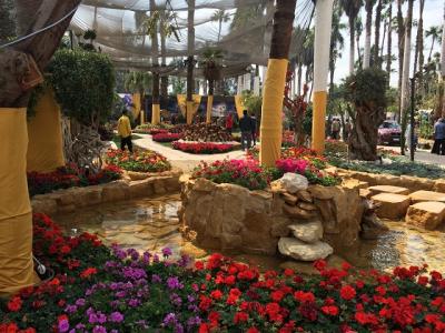 スプリングフェスティバル＠オルマン植物園