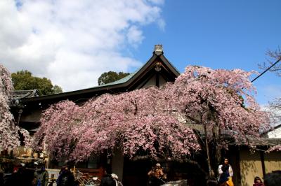 奈良公園を歩く