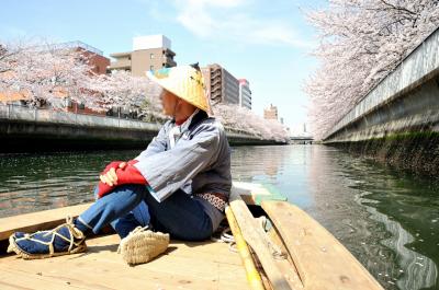 花のお江戸のお花見は、和船に乗って桜の下 ゆら～り ゆら～り　桜咲くキャンパスでのお花見は、ちょこっとセンチメンタルな気分になって・・・学び舎(まなびや)の　静寂(しじま)に舞うは　桜花　