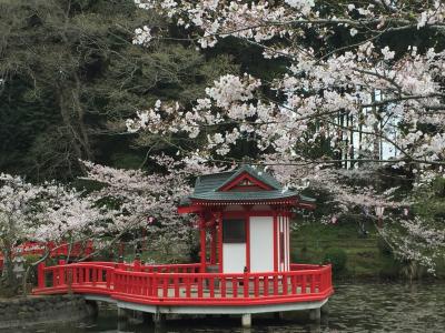 白子町のチューリップ祭りと茂原市の桜祭り