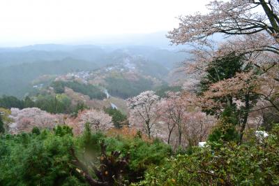 奈良の桜名所めぐり（その２）吉野の千本桜