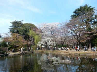 東京２０１６桜　【３】靖国神社　　