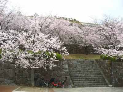 ’１６　日本１００名城　桜の咲く甲府城（舞鶴城）