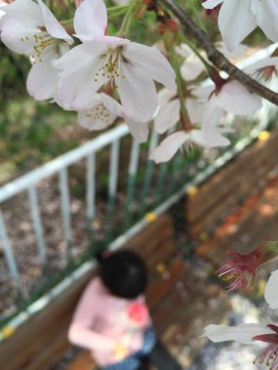 【2016・4】桜の桐生が岡公園・レトロな遊具とゆる～い動物達～動物園編