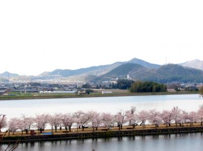 讃岐百景・桜の橋立(ミニ天橋立)