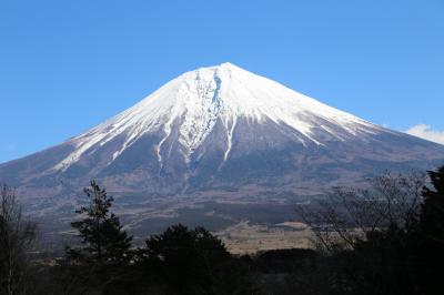 富士五湖（山中湖除く）を巡り、富士を望む