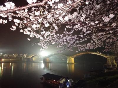 春&#9825;花だより　（錦帯橋　細雨の夜桜）