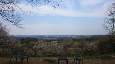 お散歩道里山系・市民の森と石坂の森 in埼玉県・東松山・鳩山