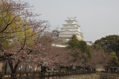 201603-01_姫路城、姫路動物園と岡山後楽園 - SAKURA in Himeji and Korakuen (Hyogo/Okayama)