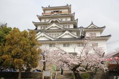 201603-05_福山・尾道・庄原の桜を愛でる旅 - SAKURA in Fukuyama/Onomichi/Shobara (Hiroshima)