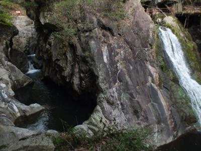 松山の奥座敷の桜と隧道から滝が落ちる峡谷