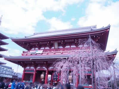 浅草寺で春のお参りです