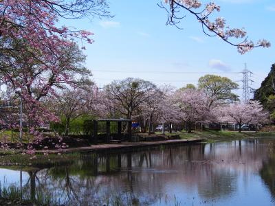 私の好きなおゆみ野の風景