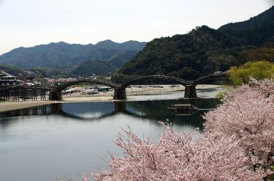 28年ぶりに二人で訪れた錦帯橋は花盛りでした。