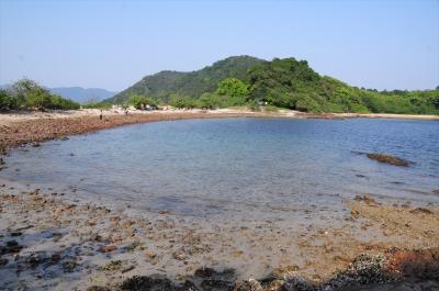 香港4★ハイキング！大埔の小島　「馬屎洲」をぐるっと一周