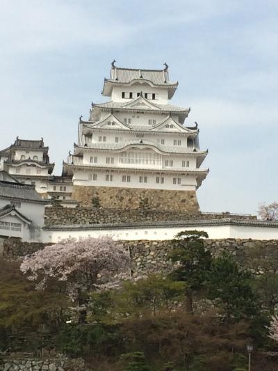 やっぱり姫路城は日本一美しいお城！