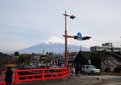 富士山の見えるロケーション！富士山本宮浅間大社、富士宮やきそばと桜えびかき揚げおいしい！/静岡・富士宮