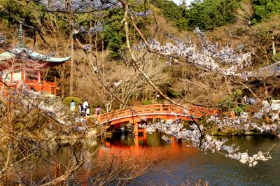 2016今年も桜咲く京都に行ってきました（将軍塚、醍醐寺）