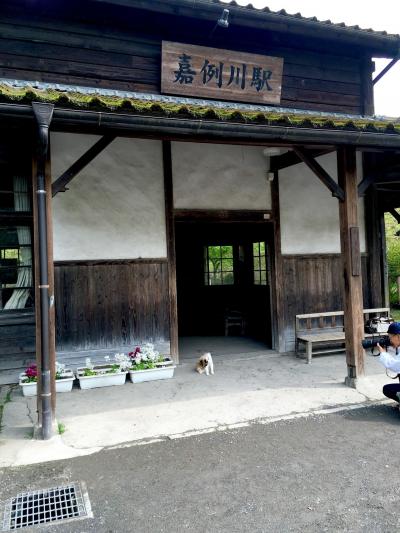 中年夫婦の鹿児島～子離れできない母の巻～