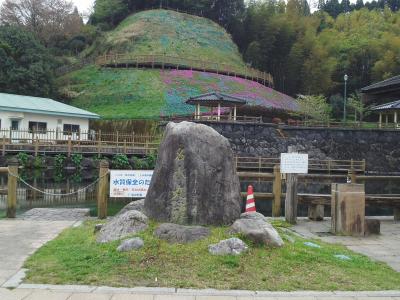 丸池公園の芝桜を見に行ってみました　※鹿児島県湧水町