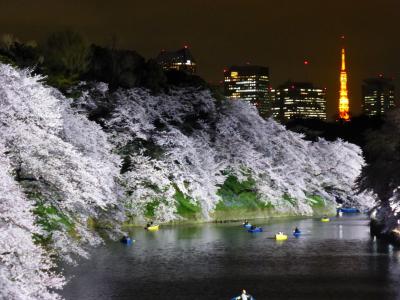 2016.4　千鳥ヶ淵の夜桜見物