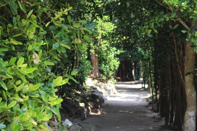 1年ぶりの沖縄＆テラスクラブ②　