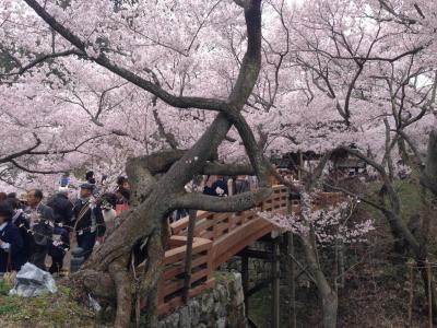 高速バスの旅～To 長野～ 高遠の桜を求めて