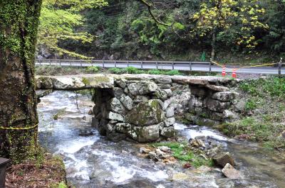 大内義隆終焉の地・・曹洞宗大寧寺（たいねいじ）を訪ねて・・