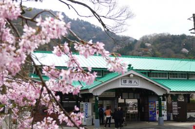 春休み京都花見観光、エクシブ京都八瀬離宮