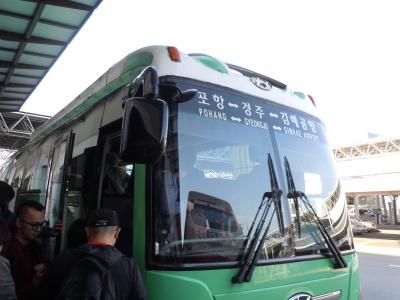 釜山金海空港から慶州へトホホの高速バス旅