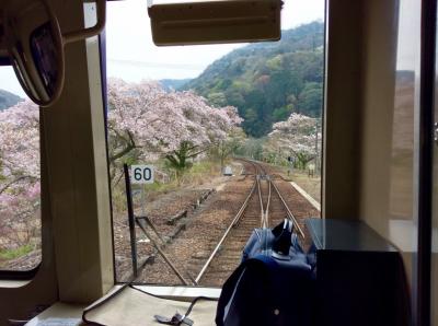 ローカル線の車窓より　　加茂～伊賀上野