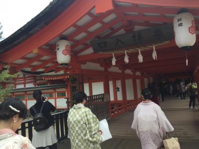 世界遺産航路で行く、着物でお花見@宮島