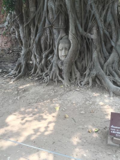 本当に仏様の顔が