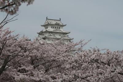 2016さくら紀行　その１「姫路城」