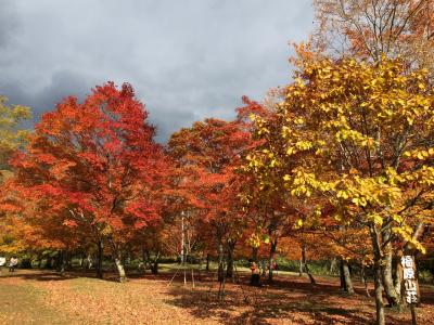 十勝川温泉に泊まる 十勝紅葉8景めぐり 2日間〜1日目