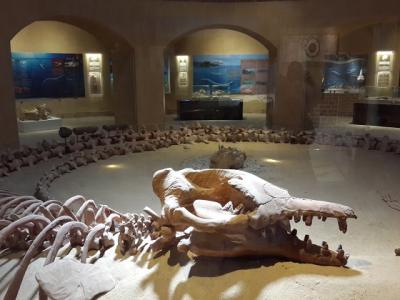 祝・再解禁！世界自然遺産 ワディ・ヒタン