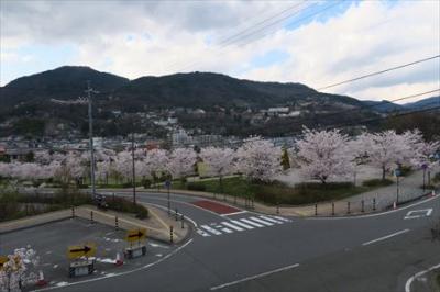 2016年04月　長野）城山公園の桜を見に行きました。