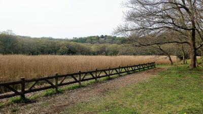 一碧湖（沼池）の散策