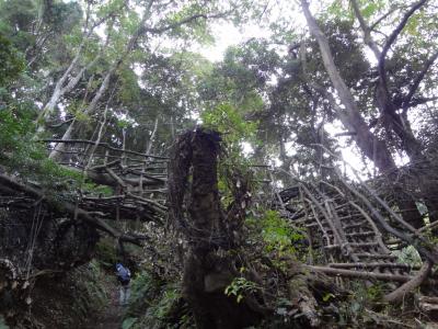 鋸山登山と日本寺参拝のあとは、温泉とビールでカンパイ