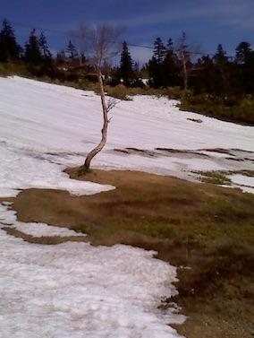 今日もski@志賀高原横手山・渋峠スキー場　2015-2016　4月　3