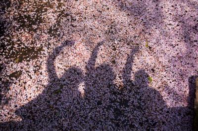 恒例の昭和記念公園へ