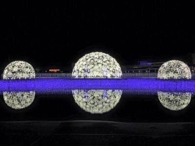 春のラグーナテンボス フラワーラグーン&イルミネーション