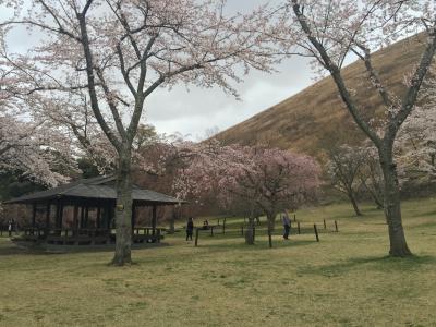 伊豆半島一周の旅～第三日