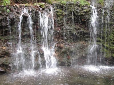 箱根の明神ヶ岳登山と湯坂路を歩く