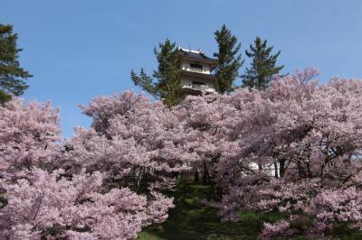 高遠の桜と釈迦堂の桃