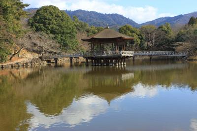奈良へ　猿沢池～浮見堂～ならまちぶら～り 前半