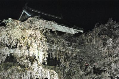 86歳の父と82歳の母を連れて上田城千本さくら祭り～夜桜～海野宿に行ってきました。母は昨年秋の大たい骨の骨折後、初旅行です。その②旧北国街道の柳町～上田城の夜桜を楽しみました。